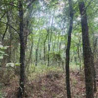 Hwy 271 Acreage images 3
