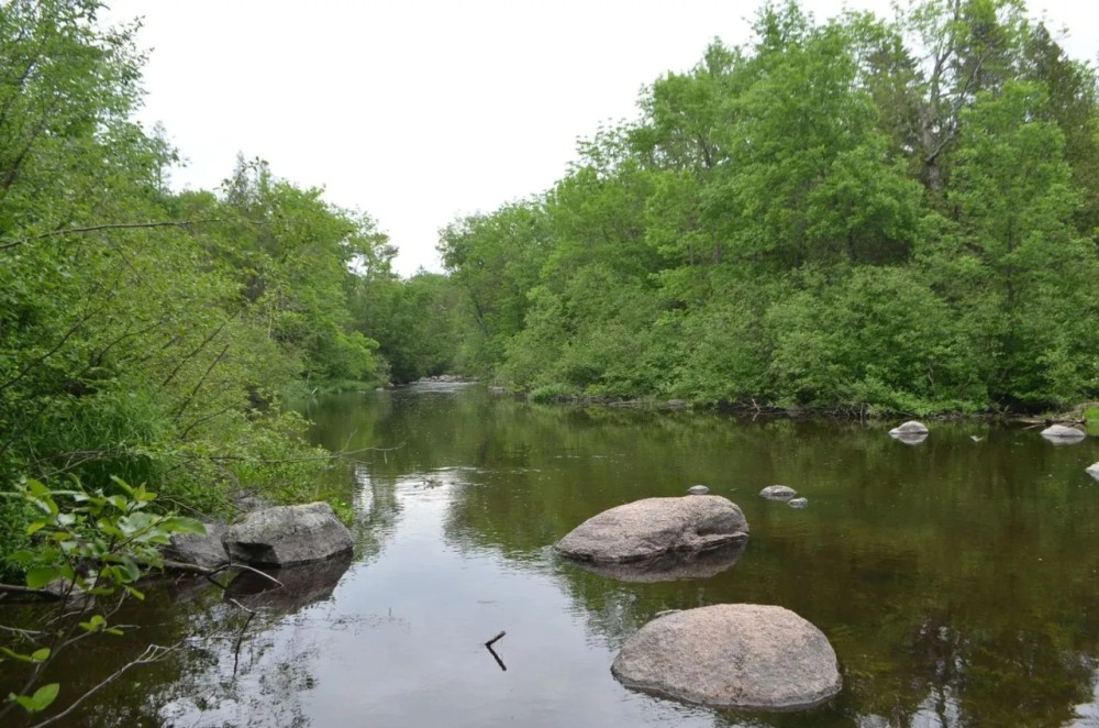 Unique hunting fishing recreational investment buildable property Marathon County WI featured image