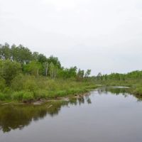 Unique hunting fishing recreational investment buildable property Marathon County WI images 2