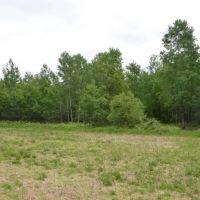 Unique hunting fishing recreational investment buildable property Marathon County WI images 4