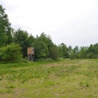 Unique hunting fishing recreational investment buildable property Marathon County WI images 5