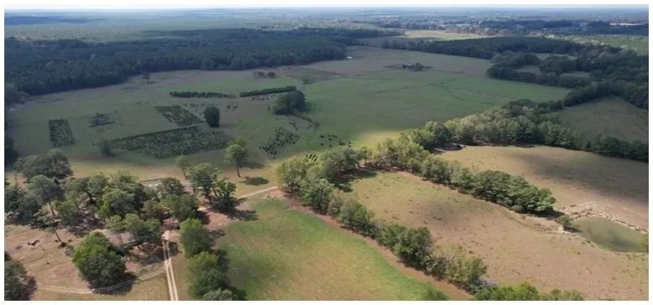 330.5 Acers in Rankin County in Pelahatchie MS featured image