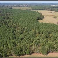 330.5 Acers in Rankin County in Pelahatchie MS images 3