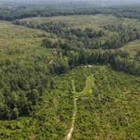 331.4 Acres in Carroll County in Cruger MS