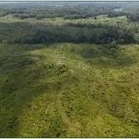 331.4 Acres in Carroll County in Cruger MS images 4
