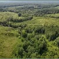 331.4 Acres in Carroll County in Cruger MS images 5