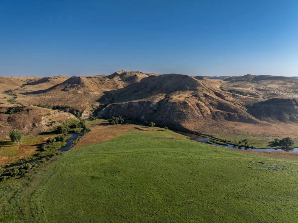 Cross F Ranch featured image