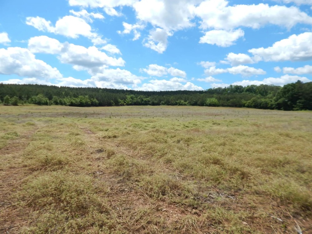 40 Acres Part Cleared Part Wooded featured image