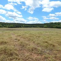 40 Acres Part Cleared Part Wooded
