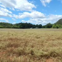 40 Acres Part Cleared Part Wooded images 2