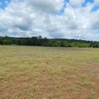 40 Acres Part Cleared Part Wooded images 4