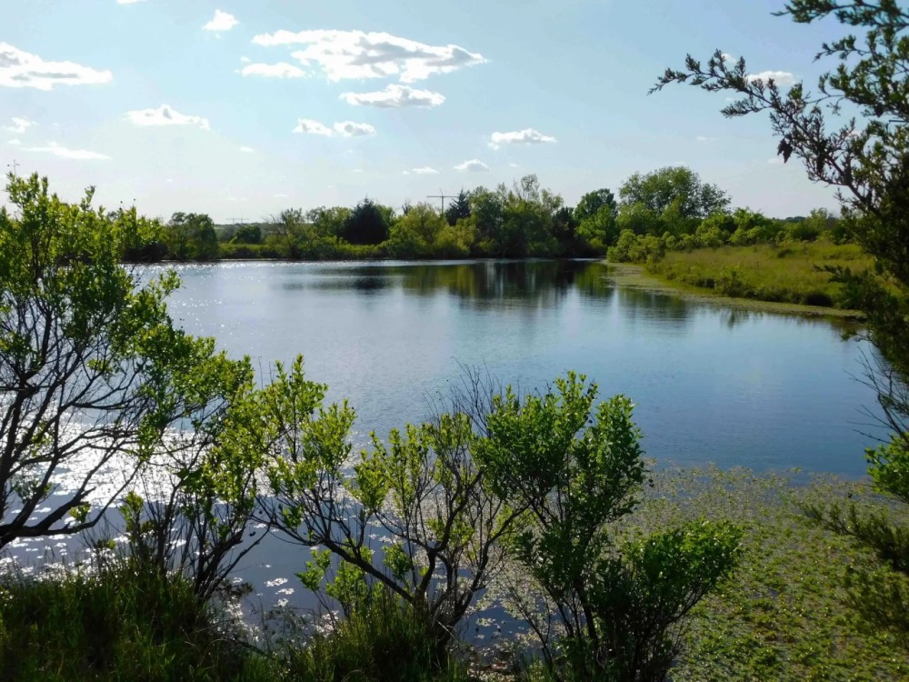 6 20 160 ACRES PAWNEE COUNTY OKLAHOMA featured image