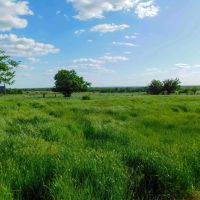 6 20 160 ACRES PAWNEE COUNTY OKLAHOMA images 2