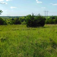 6 20 160 ACRES PAWNEE COUNTY OKLAHOMA images 4