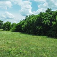 0 N FM 51 Decatur Texas 76234 images 3