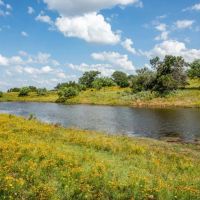 South Arrow 200 Ranch images 2