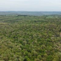 74.43 Acres With a Barndominium in Washington County AR images 5