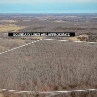 Prime Hunting Mature Timber And Homestead Potential images 2