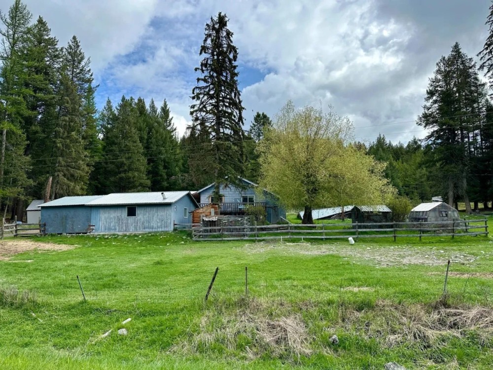 HUNTING CABIN - Backs to National Forest - 10 acres with Home Horse Pasture New Septic featured image