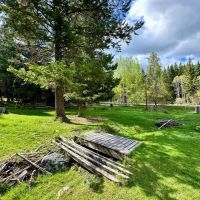 HUNTING CABIN - Backs to National Forest - 10 acres with Home Horse Pasture New Septic images 3