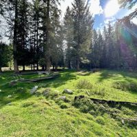 HUNTING CABIN - Backs to National Forest - 10 acres with Home Horse Pasture New Septic images 4