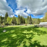 HUNTING CABIN - Backs to National Forest - 10 acres with Home Horse Pasture New Septic images 5