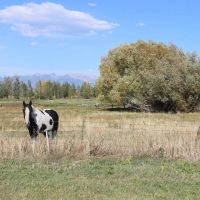 Bridger View on Love Lane