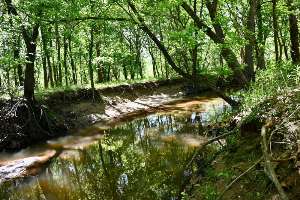 Whitesand Creek featured image