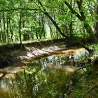 Whitesand Creek