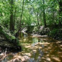 Whitesand Creek images 2
