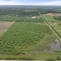 TBD-1 County Road 120 images 2