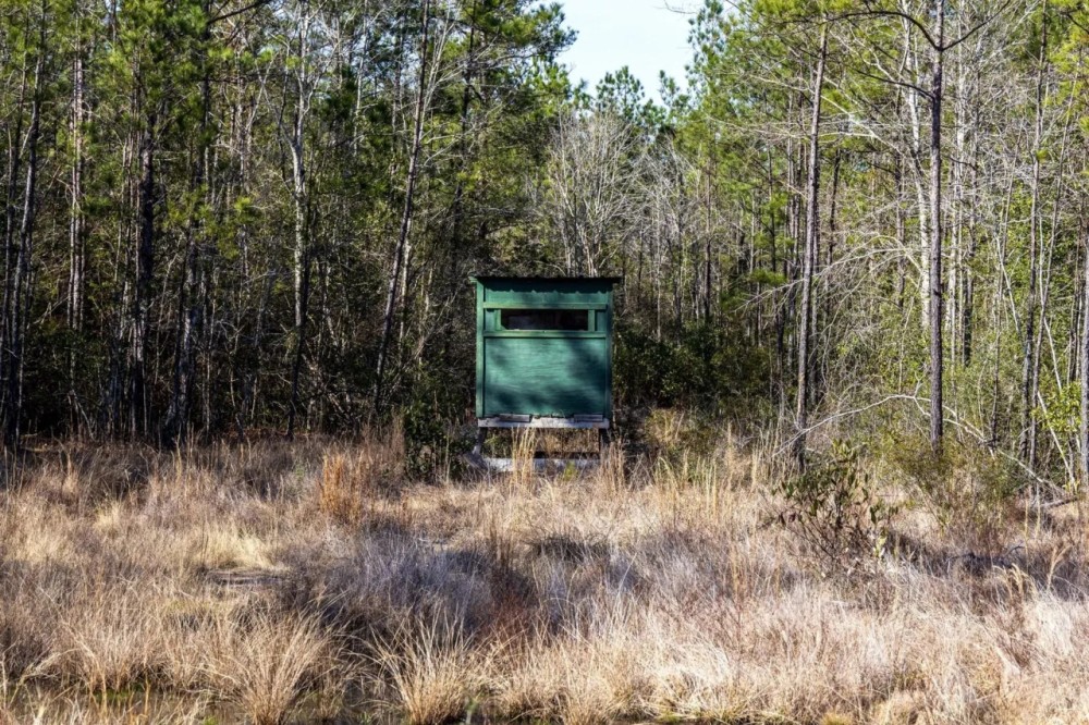 1865 N Hwy 326 Kountze Texas 77625 Hardin County featured image
