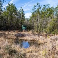 1865 N Hwy 326 Kountze Texas 77625 Hardin County images 2