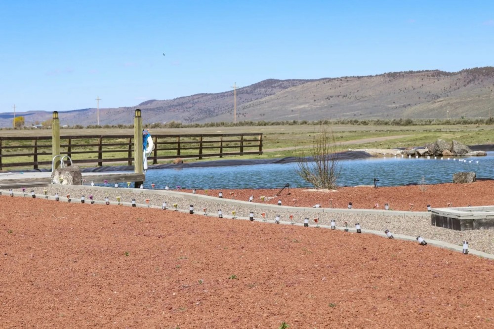 Crane Springs Ranch featured image