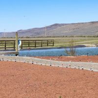 Crane Springs Ranch