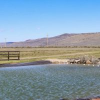 Crane Springs Ranch images 2