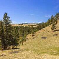 Riley Ranch images 2
