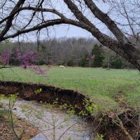 Home And Equestrian Facilities In A Private Picturesque Setting Near Springfield