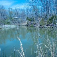 Country Homestead On Mostly Wooded Tract With Some Pasture images 2