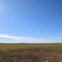 Kansas Farmland and Pasture Land Auction in Sumner County images 4