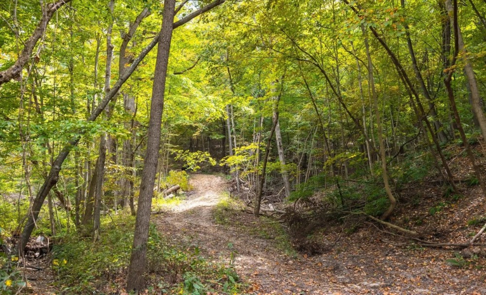 Infidel Hollow Rd Hamburg IL featured image