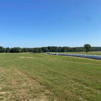 West Tennessee Cattle Row Crop Farm images 3