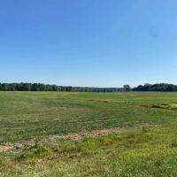 West Tennessee Cattle Row Crop Farm images 4