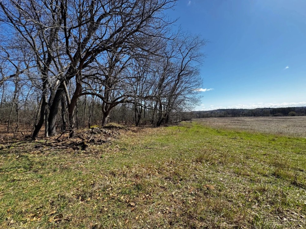 2 Properties Marquette County Online Only Auction featured image