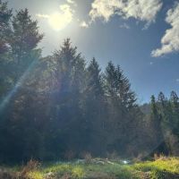 South Fork images 2