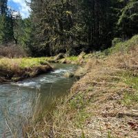 South Fork images 3