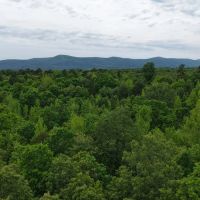 10.49 Acres with a Home in Polk County AR images 4