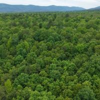 10.49 Acres with a Home in Polk County AR images 5