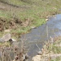 Baugh Hollow Rd Lot 1 images 4