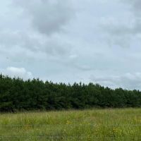 695 Acres T-4 CR 2204 01286 01287 images 3